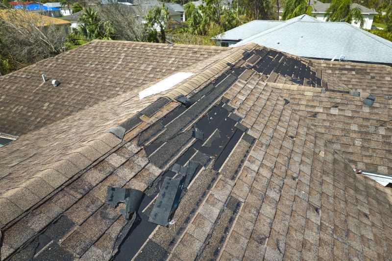 Existing Roof Condition